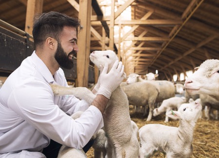 Reproductive Efficiency Issues