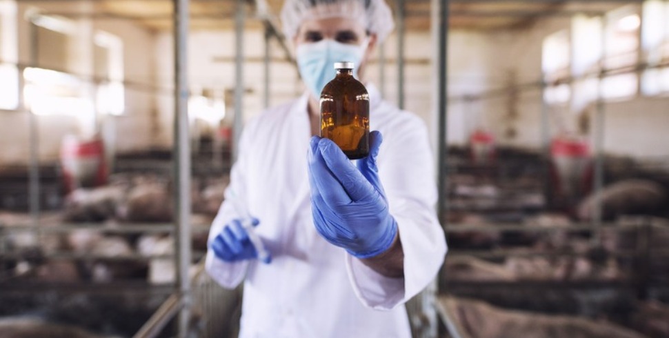 Organic Acids and Essential Oils