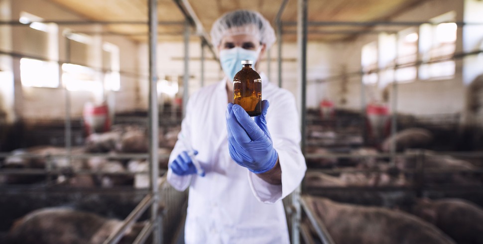 Vitamin Deficiencies